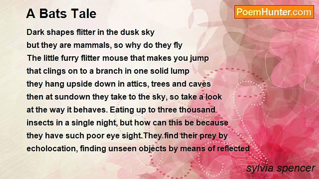 sylvia spencer - A Bats Tale