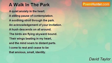 David Taylor - A Walk In The Park