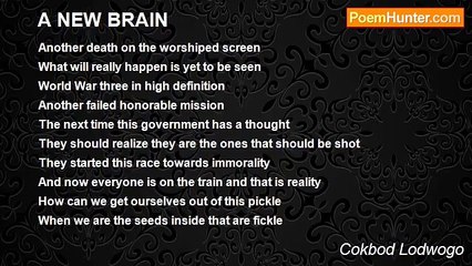 Theorem The Truth Serum - A NEW BRAIN