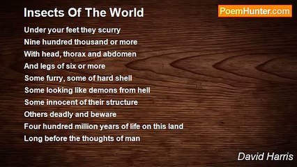 David Harris - Insects Of The World