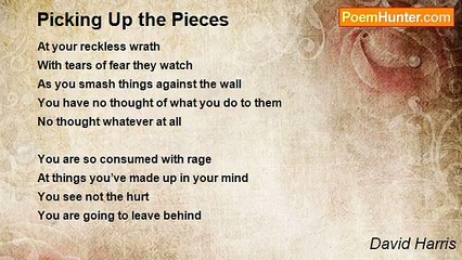 David Harris - Picking Up the Pieces