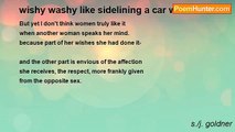 s./j. goldner - wishy washy like sidelining a car wash