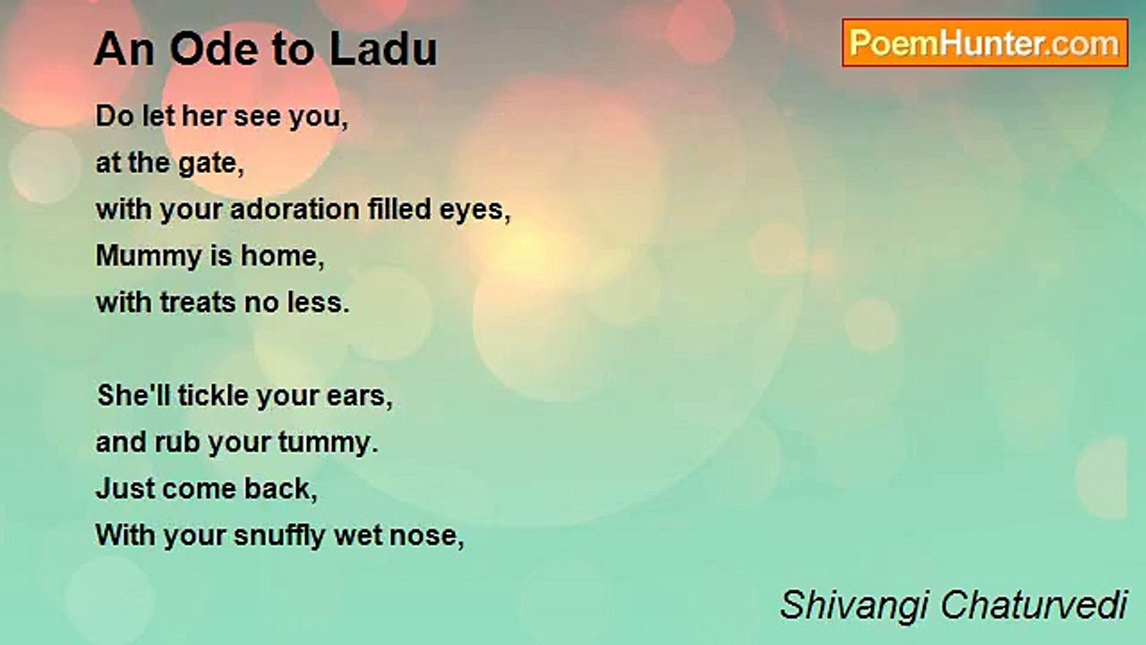 Shivangi Chaturvedi - An Ode to Ladu