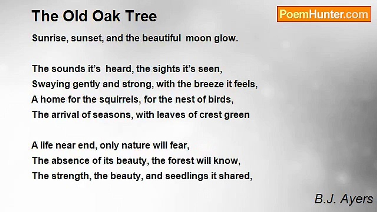B.J. Ayers - The Old Oak Tree