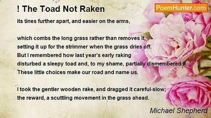 Michael Shepherd - ! The Toad Not Raken