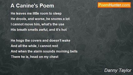 Danny Taylor - A Canine's Poem