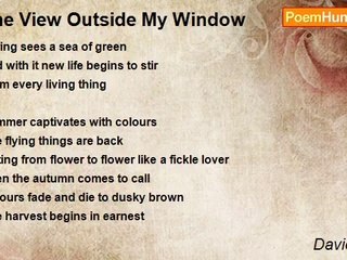 David Harris - The View Outside My Window