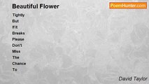 David Taylor - Beautiful Flower