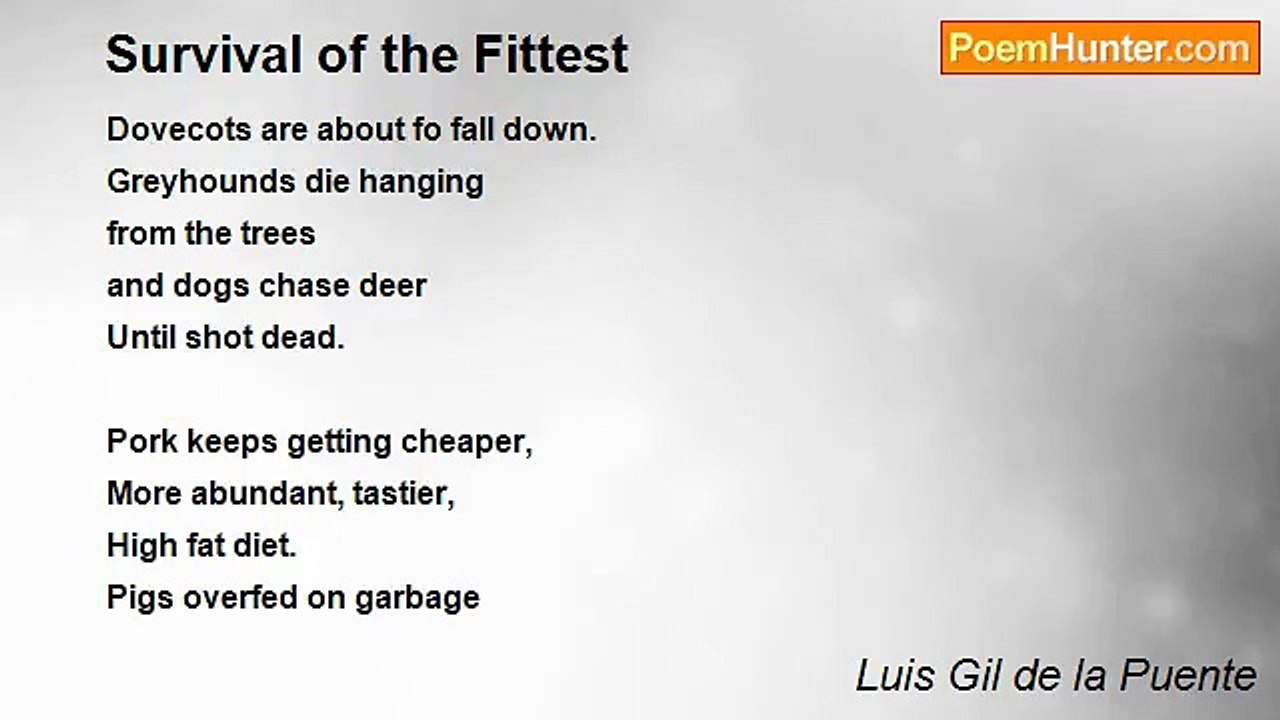 Luis Gil de la Puente - Survival of the Fittest