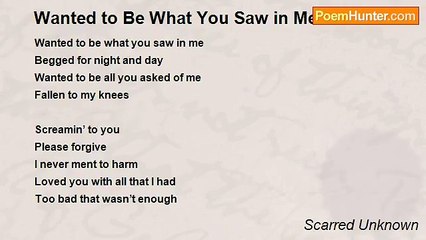 Scarred Unknown - Wanted to Be What You Saw in Me