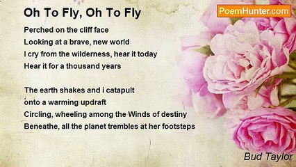 Bud Taylor - Oh To Fly, Oh To Fly