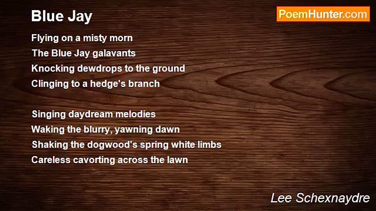 Lee Schexnaydre - Blue Jay
