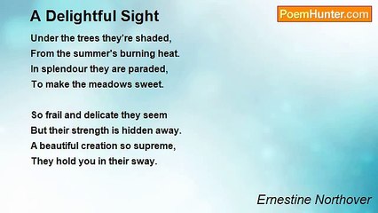 Ernestine Northover - A Delightful Sight
