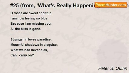 Peter S. Quinn - #25 (from, ‘What's Really Happening - In 54 numbers’)