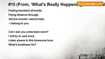 Peter S. Quinn - #15 (From, ‘What's Really Happening-In 54 Numbers’)