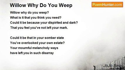 JoJo Bean - Willow Why Do You Weep