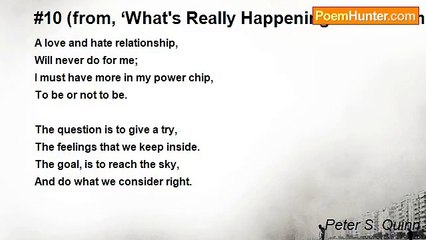 Peter S. Quinn - #10 (from, ‘What's Really Happening - In 54 numbers’)