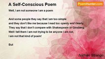 Nathan Strange - A Self-Conscious Poem
