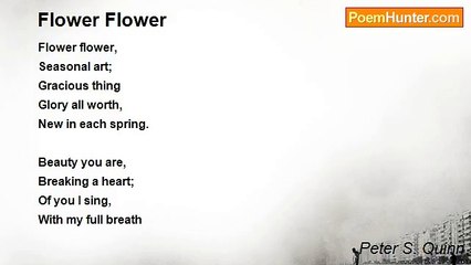 Peter S. Quinn - Flower Flower