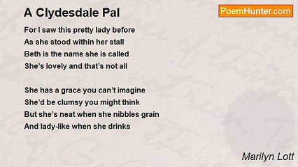 Marilyn Lott - A Clydesdale Pal