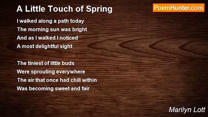 Marilyn Lott - A Little Touch of Spring