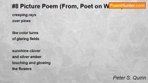 Peter S. Quinn - #8 Picture Poem (From, Poet on WWW)