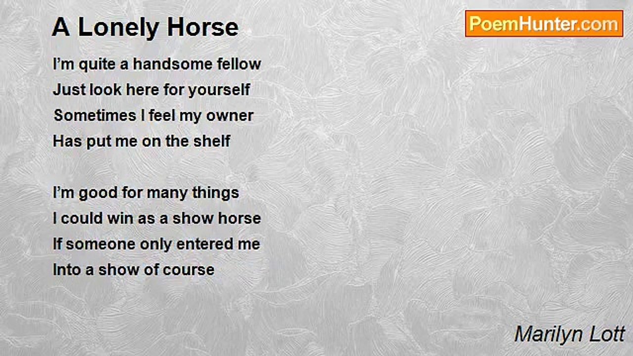 Marilyn Lott - A Lonely Horse