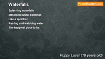 Puppy Luver (10 years old) - Waterfalls