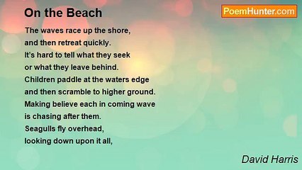 David Harris - On the Beach