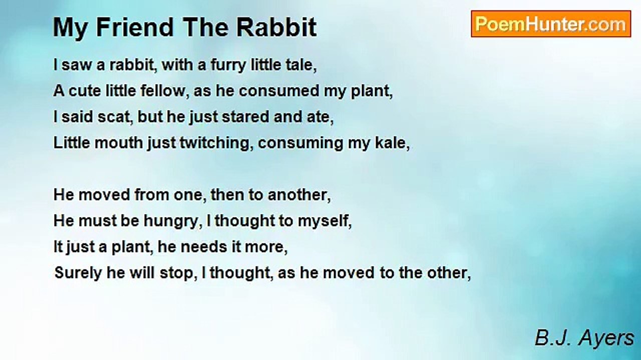 B.J. Ayers - My Friend The Rabbit