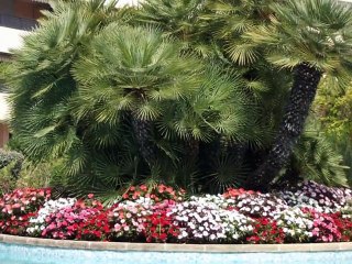 aout septembre octobre novembre 2014 saint Laurent du var1