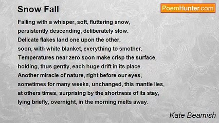 Kate Beamish - Snow Fall
