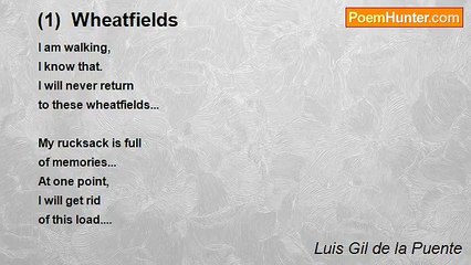 Luis Gil de la Puente - (1)  Wheatfields