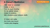 yoonoos peerbocus - A Camel's Meditation
