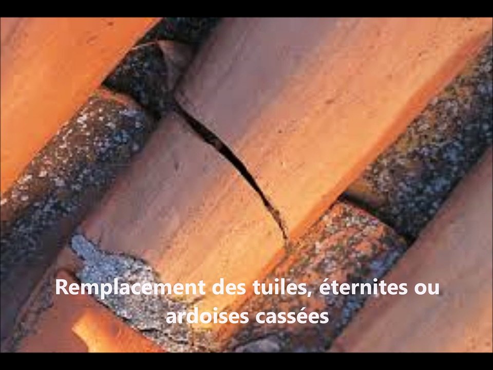 Nettoyage et démoussage de toitures ECOCLEAN 2000 BELGIQUE