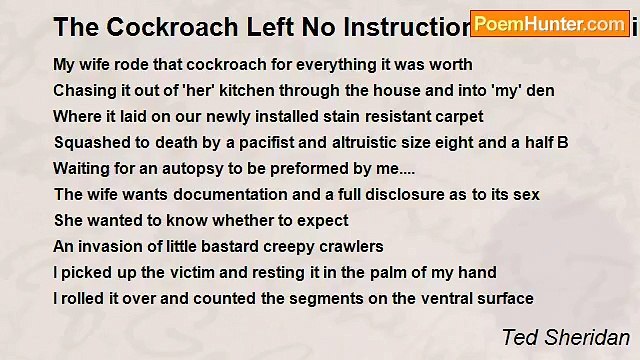 Ted Sheridan - The Cockroach Left No Instructions As To Its Final Remains
