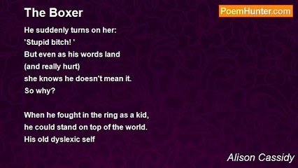 Alison Cassidy - The Boxer