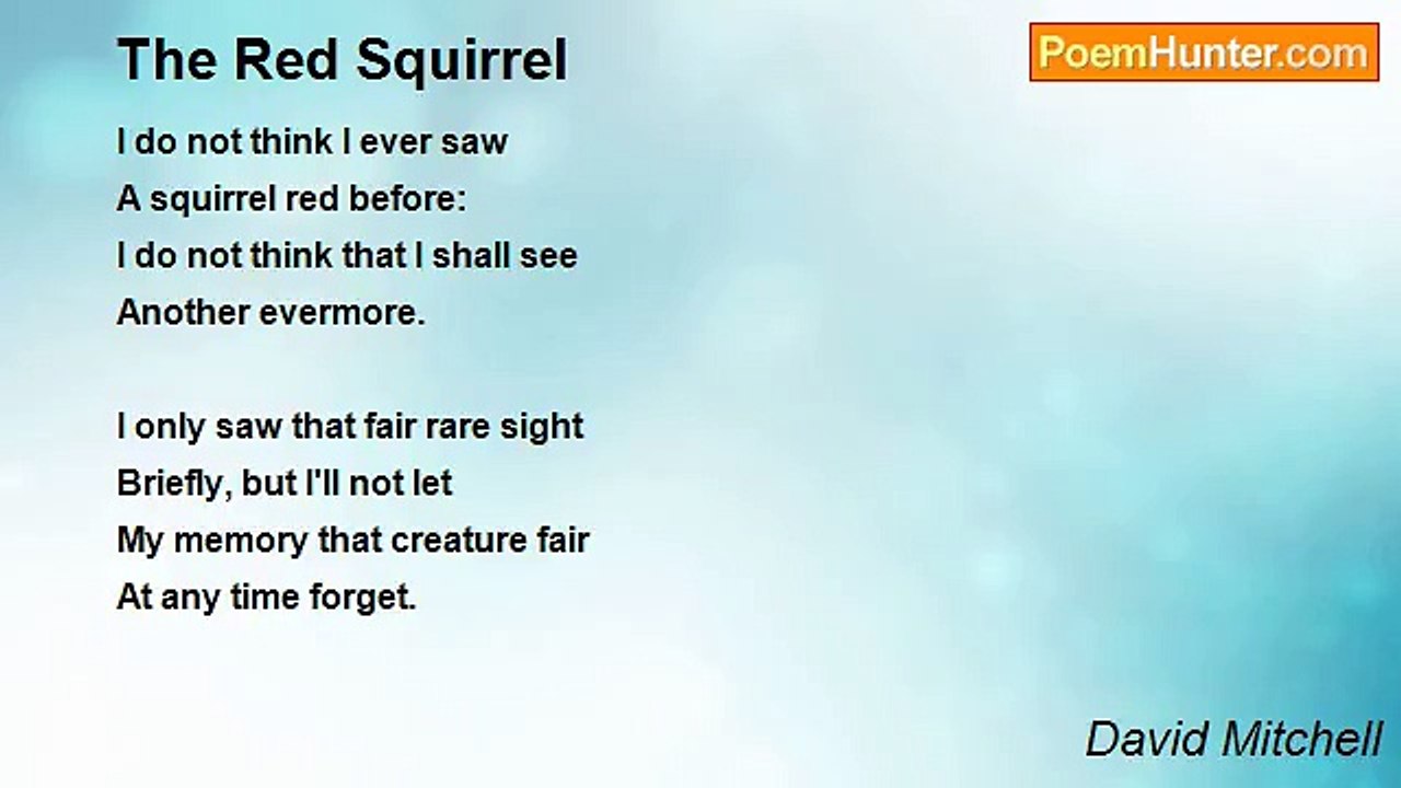 David Mitchell - The Red Squirrel