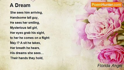 Florida Angel - A Dream