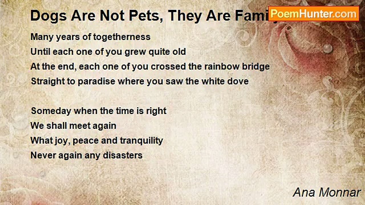 Ana Monnar - Dogs Are Not Pets, They Are Family...
