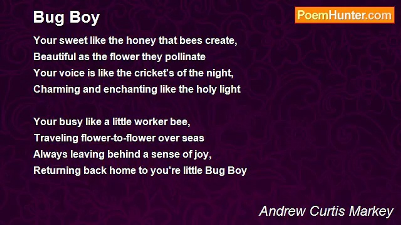 Andrew Curtis Markey - Bug Boy