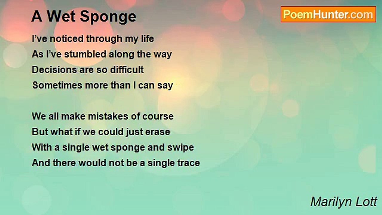 Marilyn Lott - A Wet Sponge