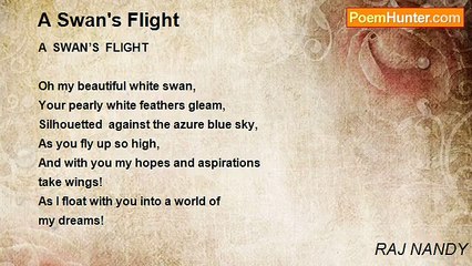 RAJ NANDY - A Swan's Flight