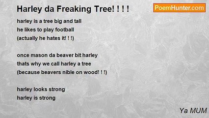 Ya MUM - Harley da Freaking Tree! ! ! !