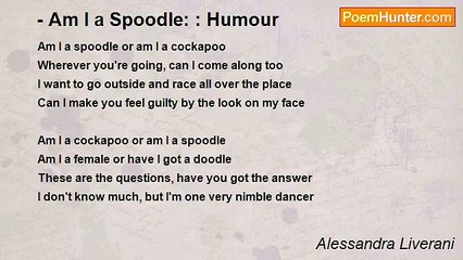 Alessandra Liverani - - Am I a Spoodle: : Humour