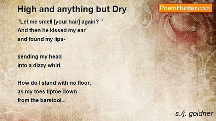 s./j. goldner - High and anything but Dry