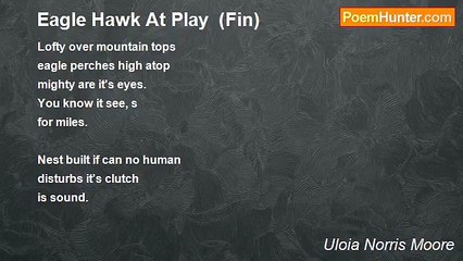Uloia Norris Moore - Eagle Hawk At Play  (Fin)