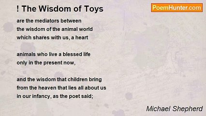 Michael Shepherd - ! The Wisdom of Toys