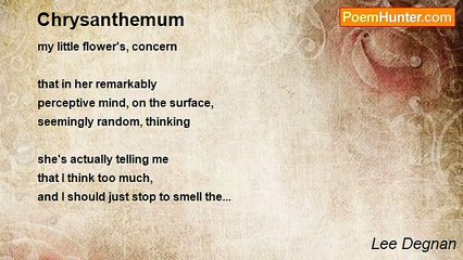 Lee Degnan - Chrysanthemum