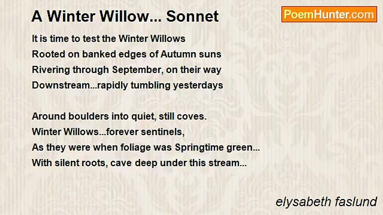 elysabeth faslund - A Winter Willow... Sonnet